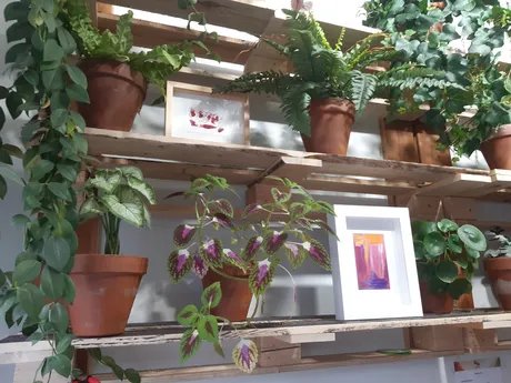 Pflanzen und Kunst