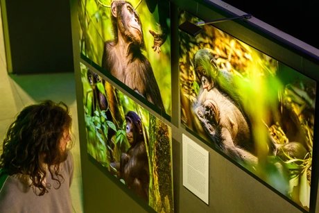 Blick in die Ausstellung
