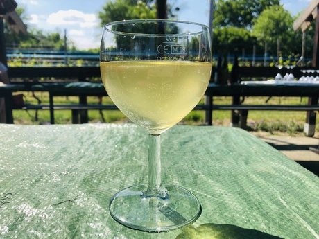 Glas mit Weißwein auf der Britzer WeinKultur