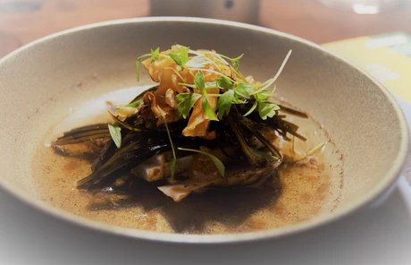 Tim Tannenberg, Vorspeise