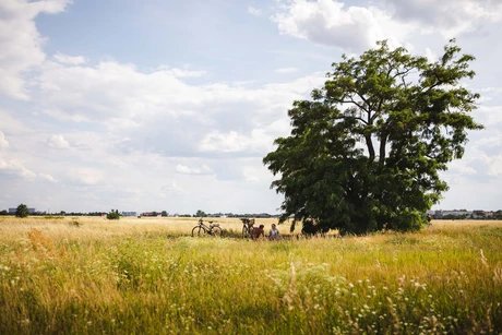 Tempelhofer Feld