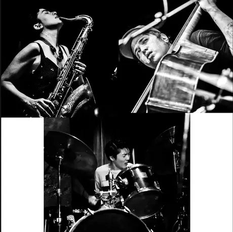 Hayashi/ Nebbia/ Cajado