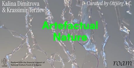 Artefactual Nature_Flyer