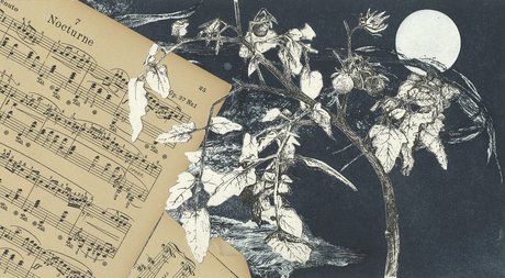Nocturne, 2019, Radierung, Vernis mou, Aquatinta, Collage, 20 x 36 cm