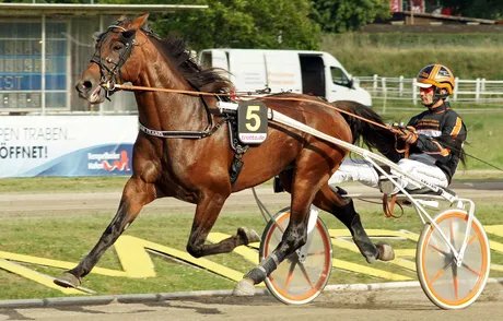 Der Österreicher Thomas Royer beim Fritz-Brandt-Rennen