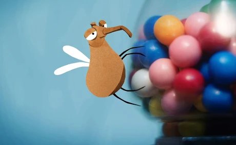 GRAFIK Mückenalarm – Kurzfilme im Schwarm