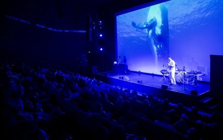 Sounds of the Ocean