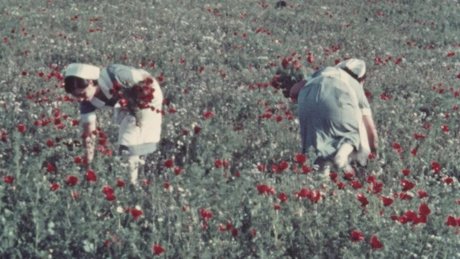 VISUAL INTERFILM 41: Case Study: How to reclaim the Colonial Film Archive with Theo Panagopoulos