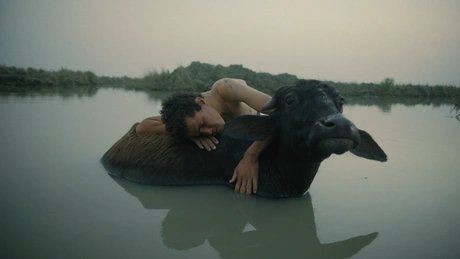 Veranstaltungen in Berlin: INTERFILM 41: Essay Films - Craving for Narratives