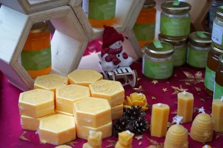 beefriends_ADVENT_Leonhardt beefriends_ADVENT_Leonhardt
