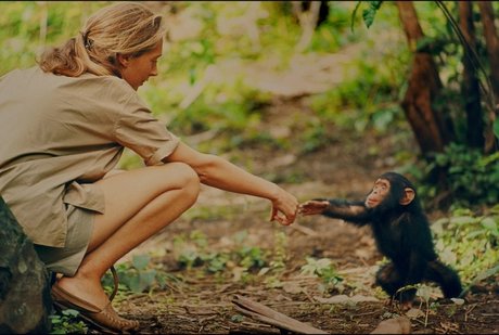 FILMSTILL Jane Goodall