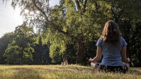 Meditation im Grünen