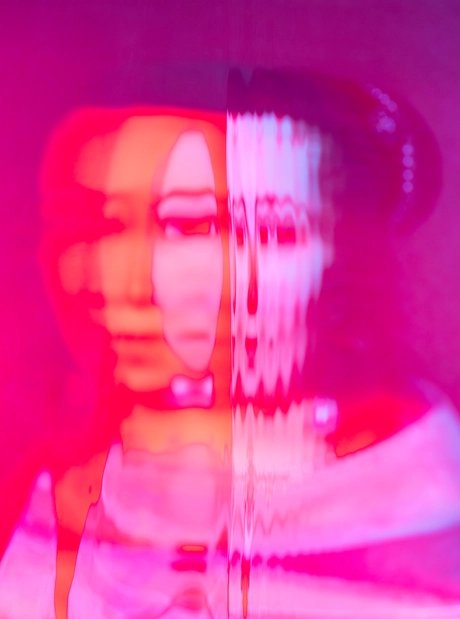 Drowned Dreams, Maria Sybilla Merian (1647-1717), 2024