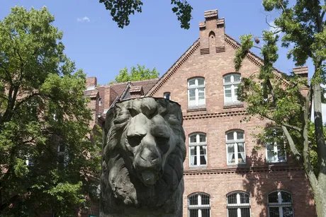 Ansicht Museum Reinickendorf