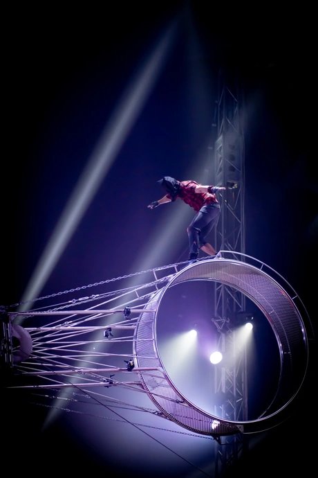 Zirkus des Horrors