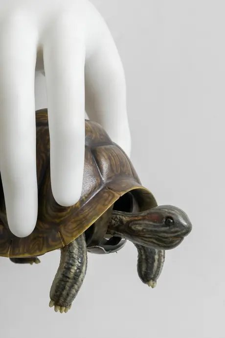 Hua Wang, Fortune, 2025