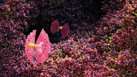 Veranstaltungen in Berlin: ORIGINS – Eine immersive Reise zum Ursprung des Lebens