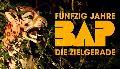 BAP