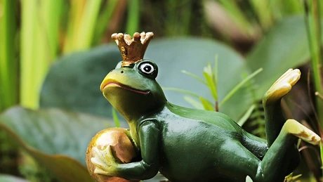 Froschkönig