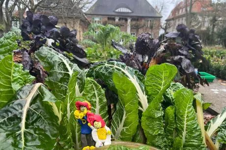 Heckenwesen 2026, Foto: Laureline van den Heuvel