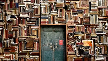 VISUAL Debate: Should We Publish in Academic Journals?