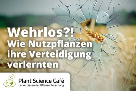 Wehrlos?!_Flyer
