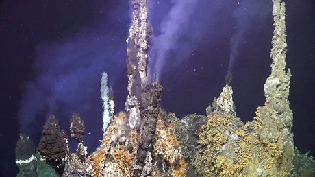 Inferno Vent with chimlets at ASHES Hydrothermal field with sulfide worms