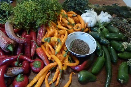 Essen - Gemüse, Vegan Kochen