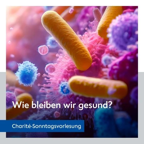 VISUAL Wie bleiben wir gesund?