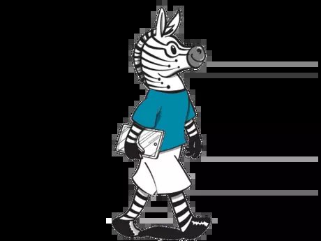 Digital-Zebra