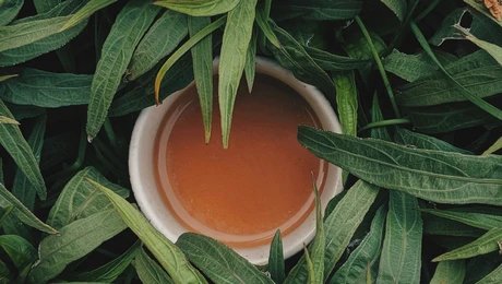 Fastenkurs in Berlin