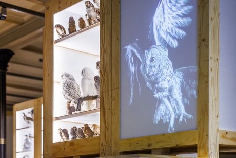 Exponate der Sonderausstellungen Zukunftsplan & ZUGvögel