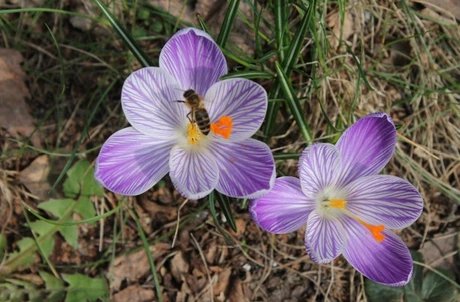 StadtNatur