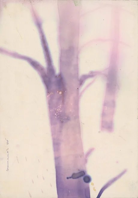 Untitled Watercolour on paper, 2024.4.L