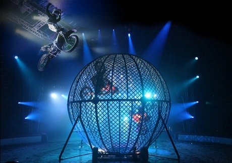 Zirkus des Horrors