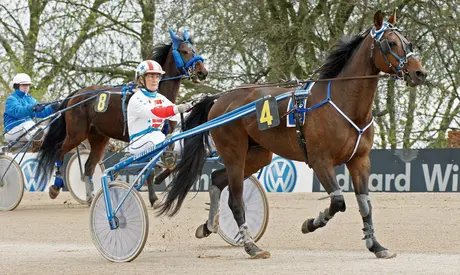War früher selber leidenschaftlich gerne im Sulky unterwegs: Karin Walter-Mommert wurde 1999 Amazonen-Europameisterin