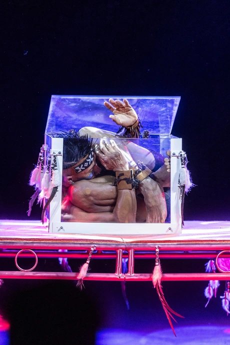 Zirkus des Horrors