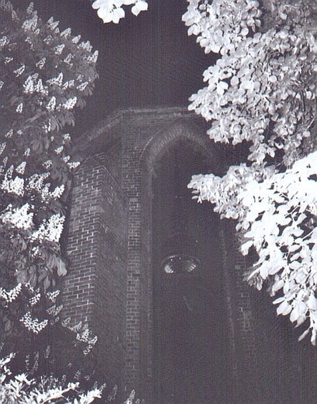 Mystik der Walpugisnacht