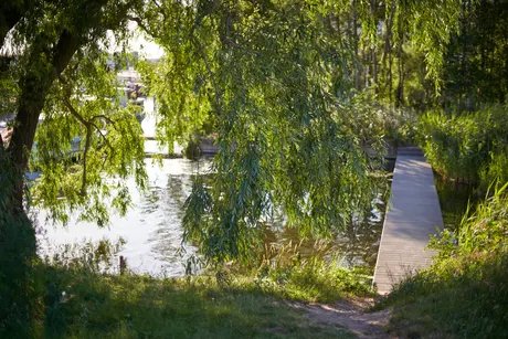 Lovers by the Water