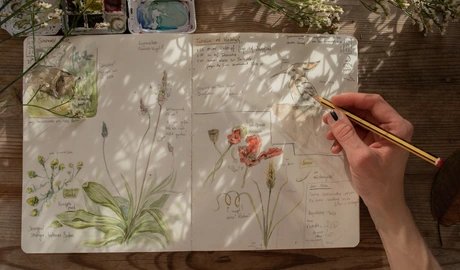 Nature Journaling Workshop