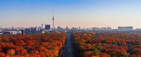 Veranstaltungen in Berlin: Berlin-Brandenburger Verwalterforum