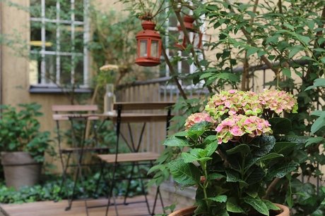 Hotels in Berlin | Amstel House Hostel