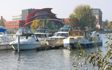Kormoran Potsdam