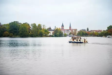 Berlin Koepenick - Kormoran