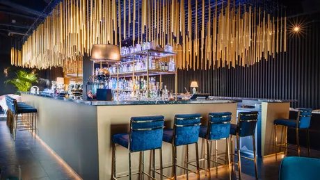 Bar House of Gin