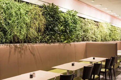 Frühstücksrestaurant