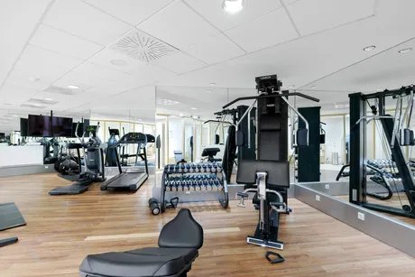 Fitneß