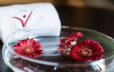 Hotels in Berlin | centrovital Hotel