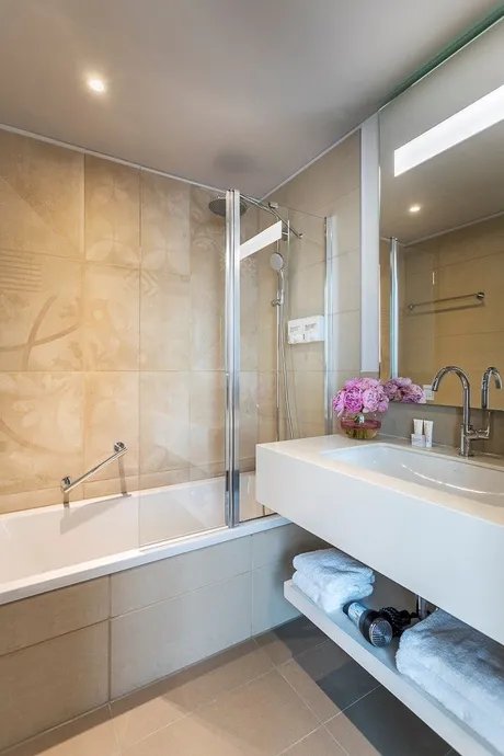 1 Bedroom Deluxe Apartment bathroom