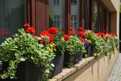Hotelfassade im Sommer